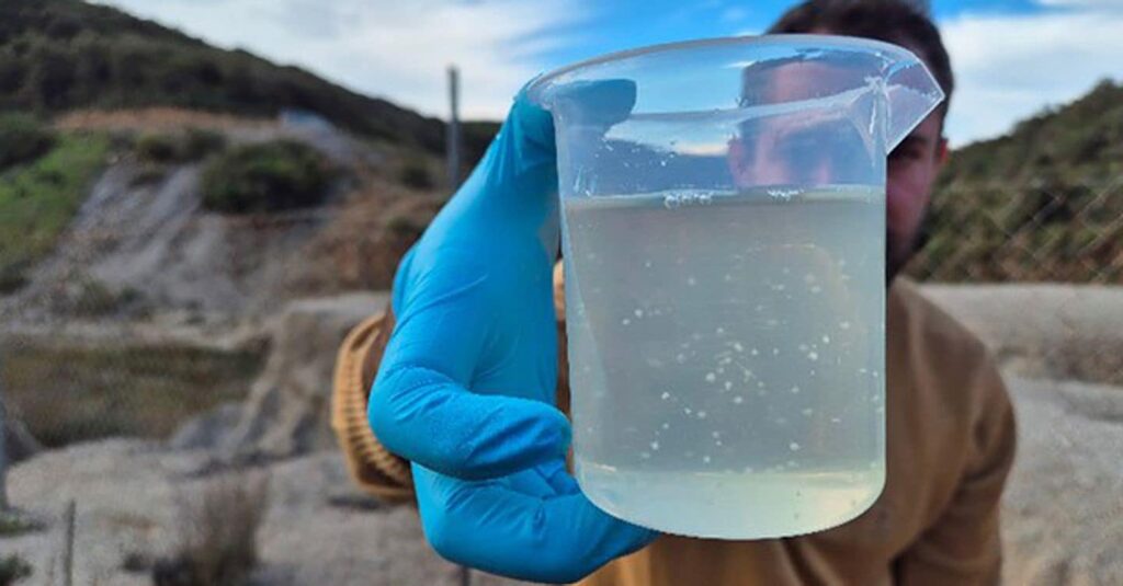 Sardegna, batteri e piante autoctone per bonificare terreni inquinati da metalli pesanti