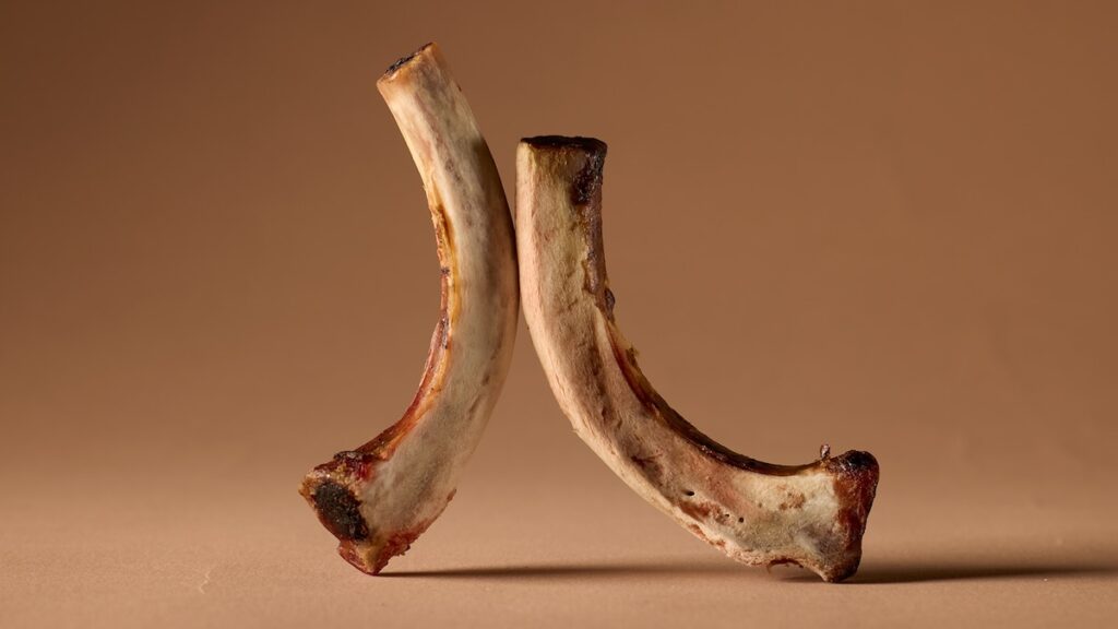 The scientific case for eating more bones