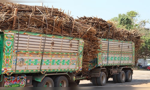 Balrampur Chini’s Avantika Saraogi says India’s first PLA bioplastics plant to start operations by October 2026