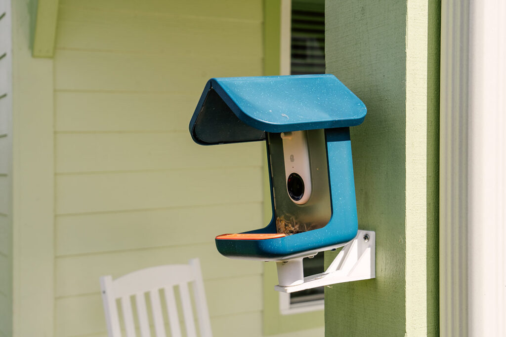 Bird Buddy’s best smart feeders are only $229 during Amazon’s Black Friday sale, and some models are even less